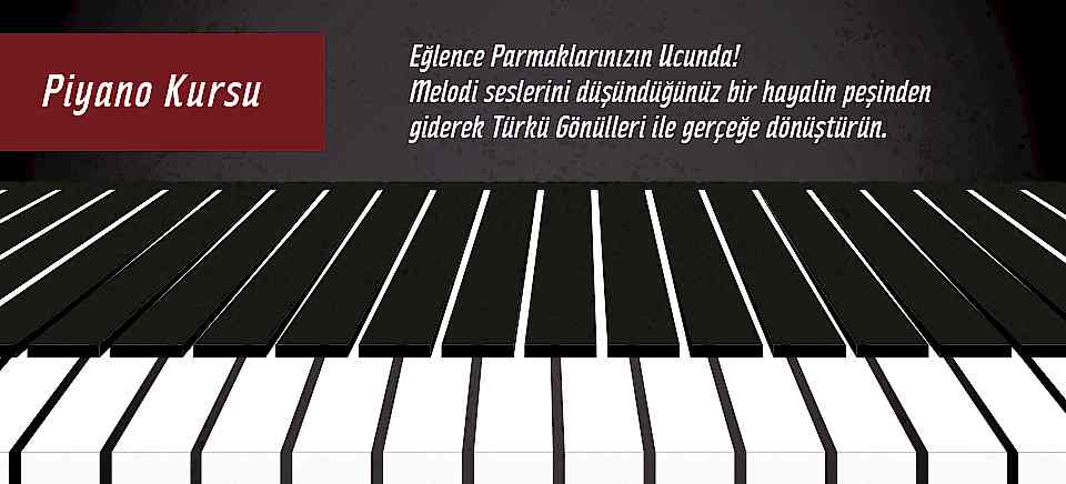 Türkü Gönüllüleri